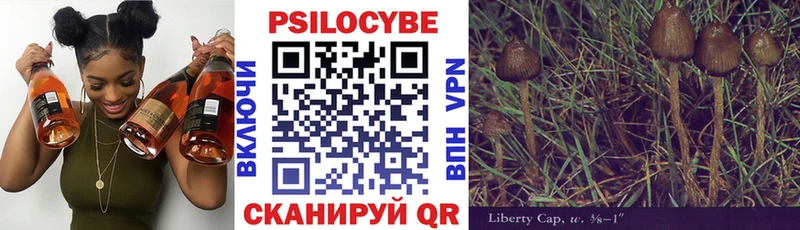 Псилоцибиновые грибы Cubensis  Улан-Удэ 
