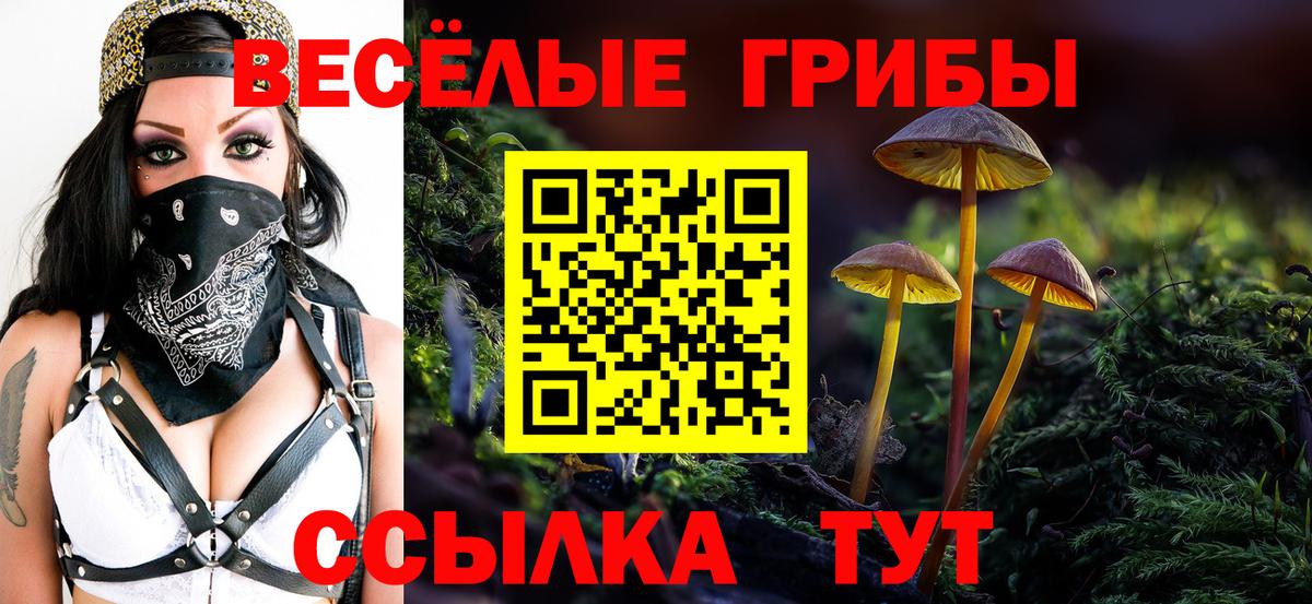 Псилоцибиновые грибы MAGIC MUSHROOMS Улан-Удэ